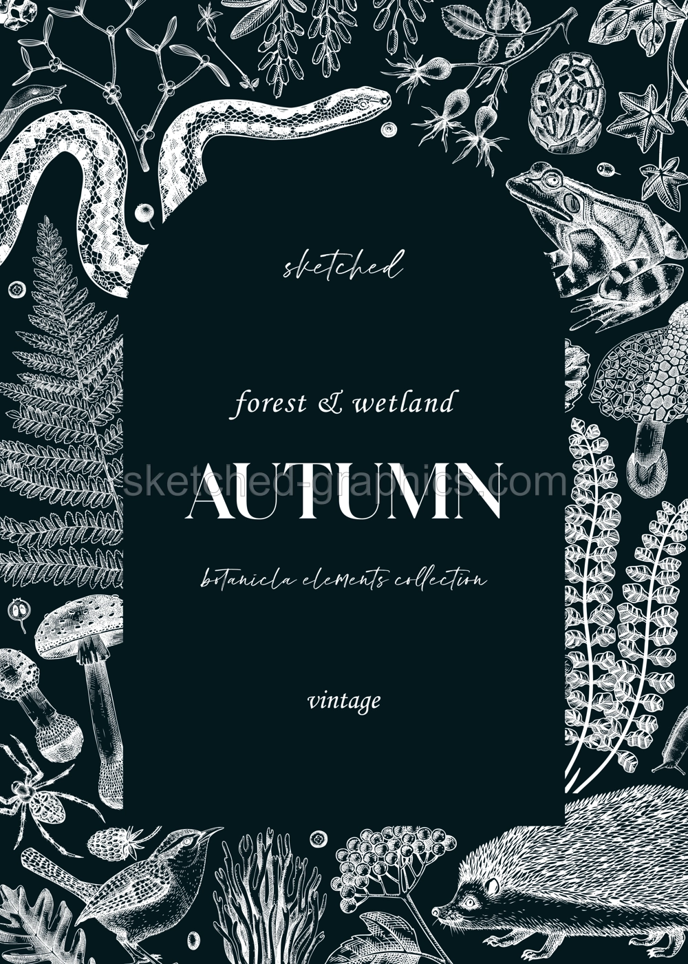 Autumn background on chalkboard. Vintage greeting card and invitation design template. Hand-drawn forest plants, fall leaves, mushrooms, ferns, woodland animals sketches.  Illustration